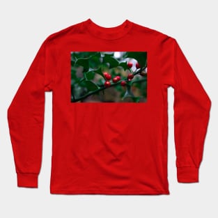 Wild Holly Berries Long Sleeve T-Shirt